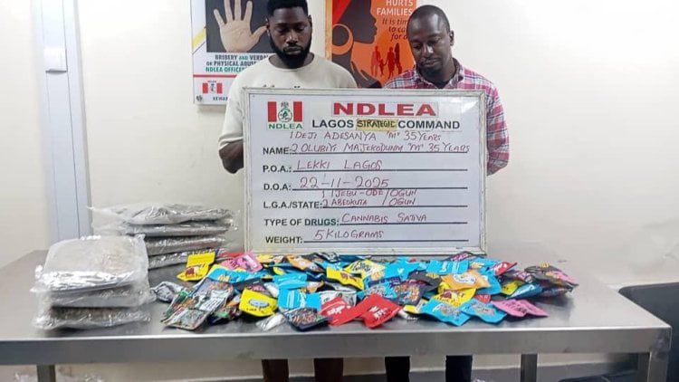 NDLEA INTERCEPTS ILLICIT DRUGS HIDDEN IN COOKIES, TEDDY BEARS